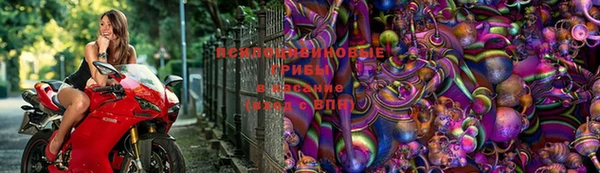 jwh Армянск