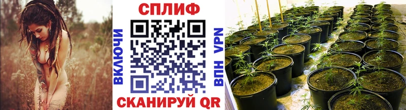 Бошки марихуана марихуана  kraken ссылки  Верхнеуральск 